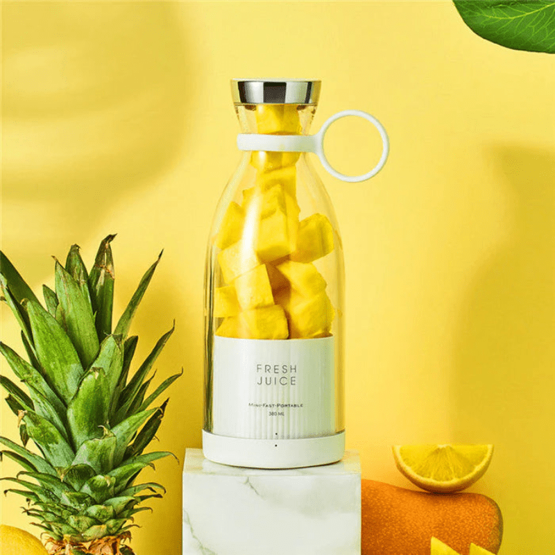 MINI MIXEUR JUS PORTABLE